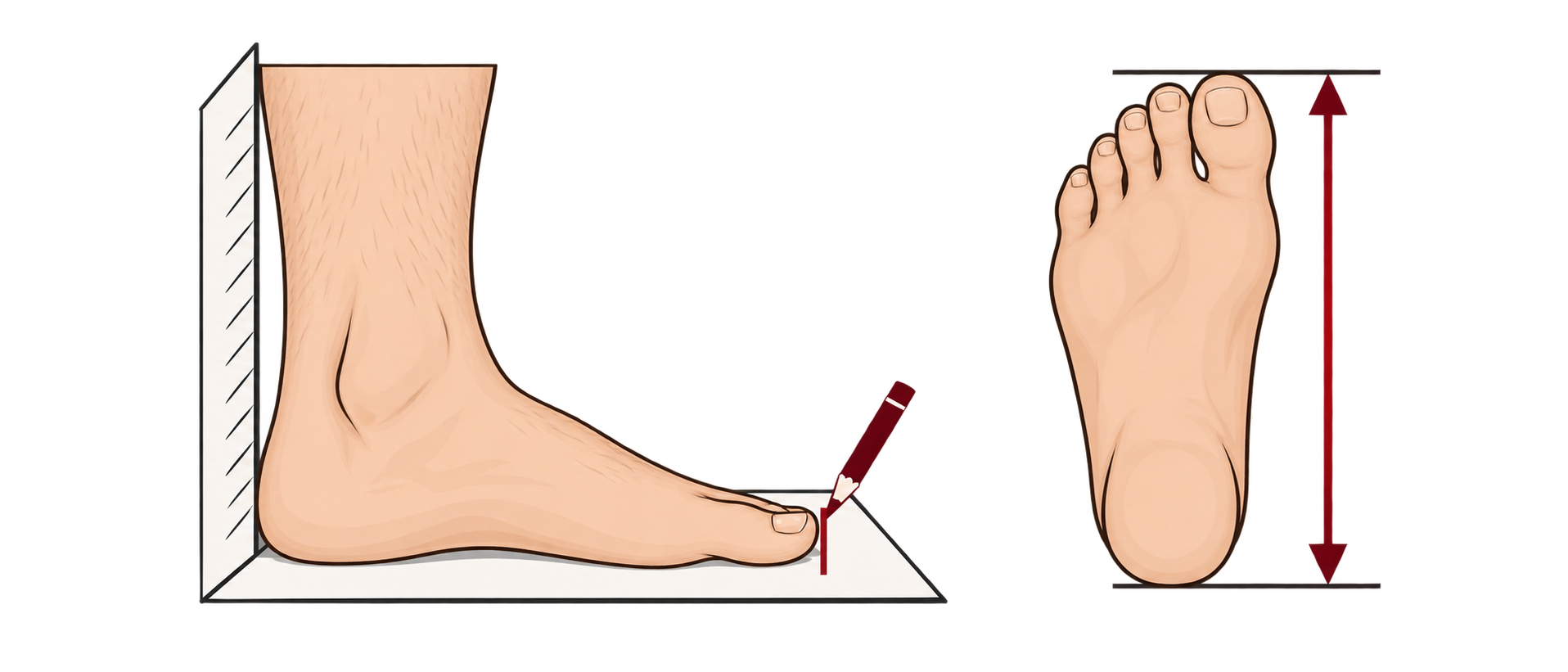 Two-step diagram showing a men’s foot flat against a wall and a heel-to-toe measurement